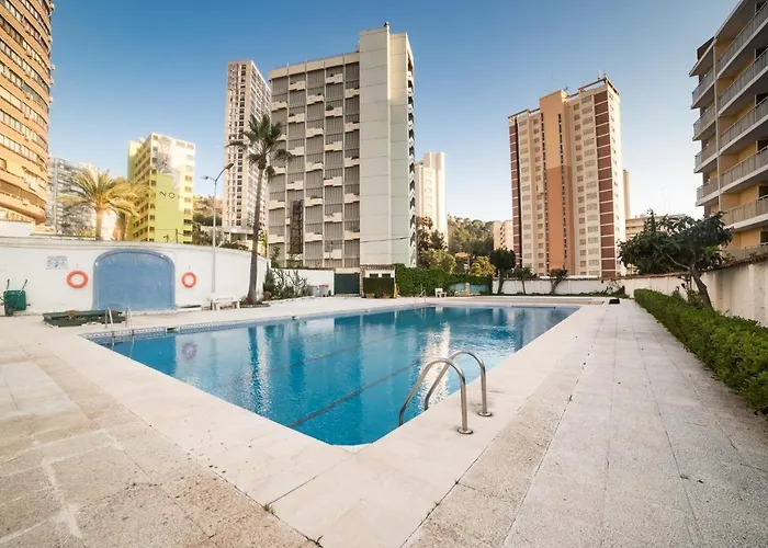 Moonkey - Luminoso Girasoles Benidorm